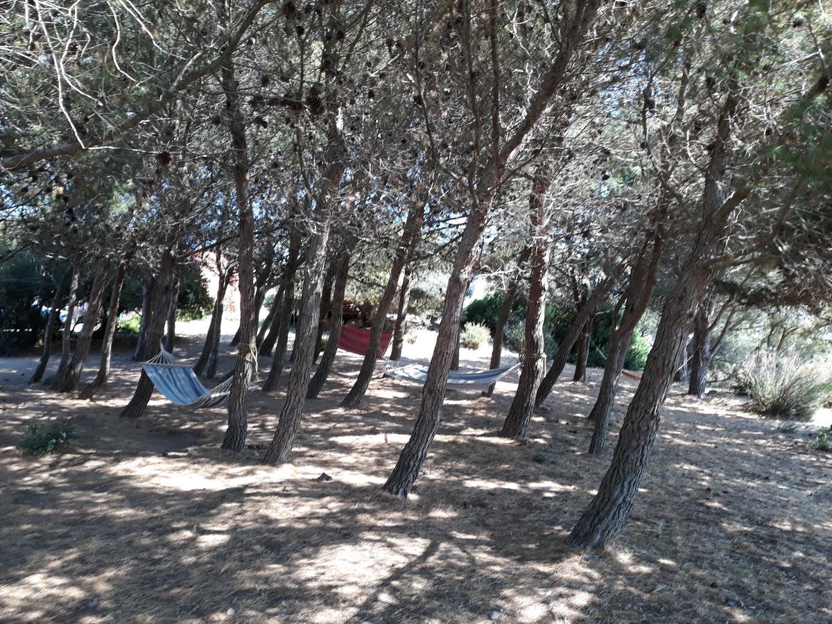 Ferienwohnung La Macciona Aglientu Exterior foto
